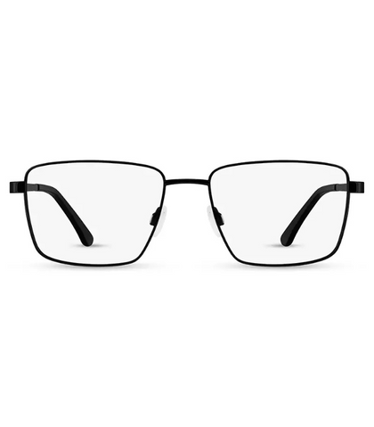 Eyeglasses