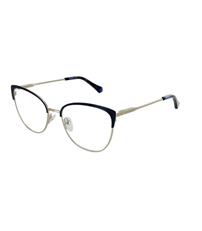 Eyeglasses