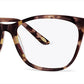 C2Tortoiseshell