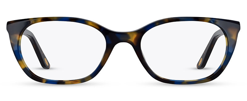 C1BlueAndBrownTortoiseshell