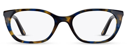 C1BlueAndBrownTortoiseshell