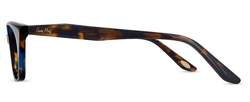 C1BlueAndBrownTortoiseshell