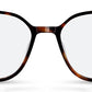 C2Tortoiseshell