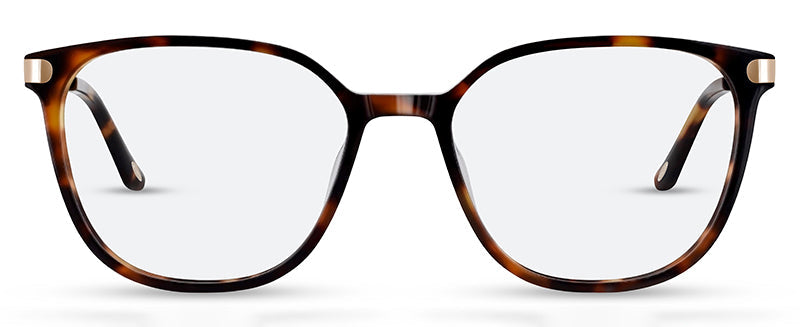 C2Tortoiseshell