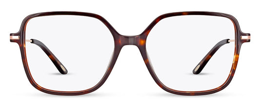 C2Tortoiseshell