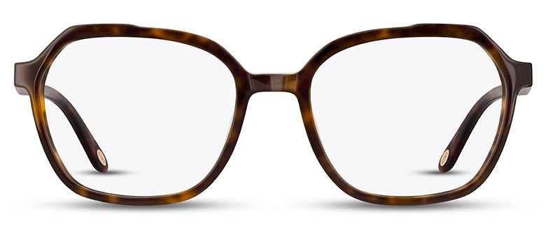 C2Tortoiseshell