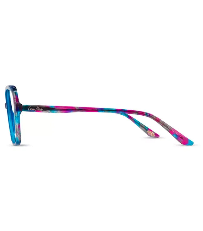 Glasses