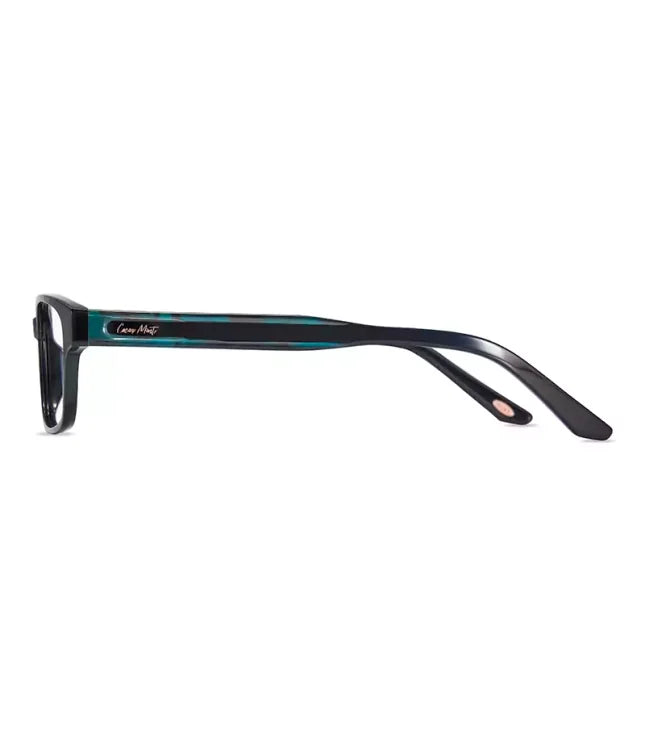 Eyeglasses