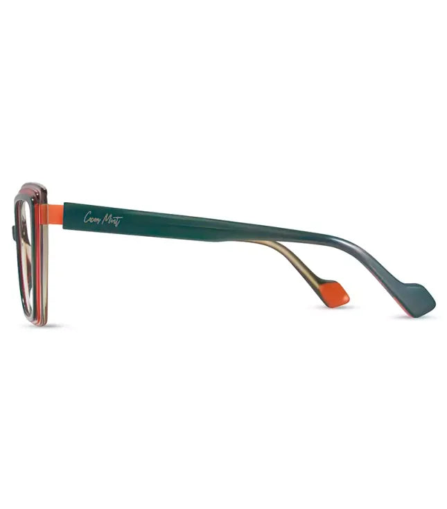 Glasses