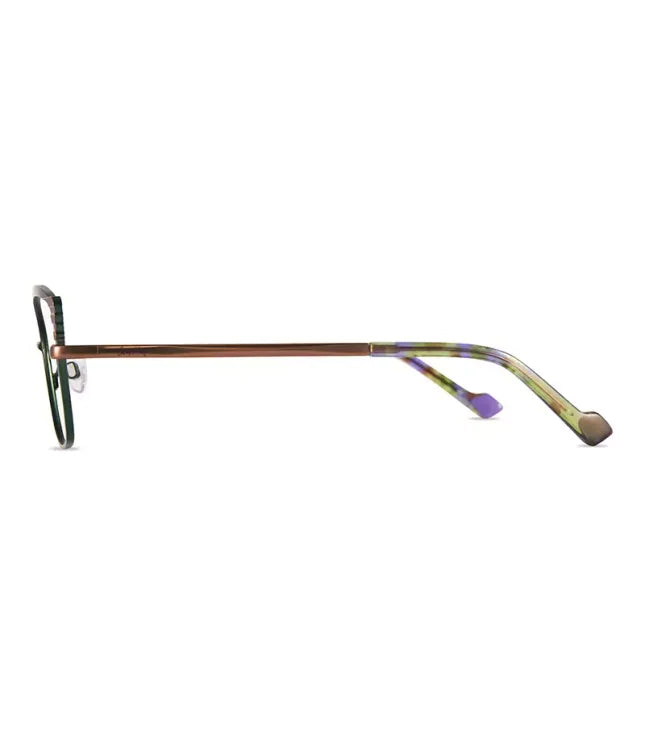 Glasses