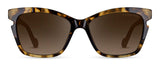 C1Tortoiseshell