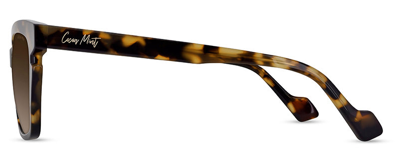 C1Tortoiseshell