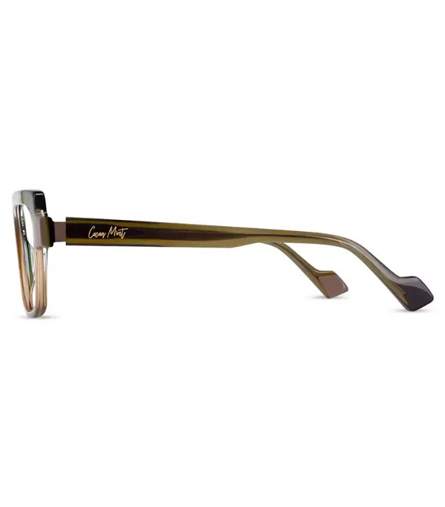 Glasses