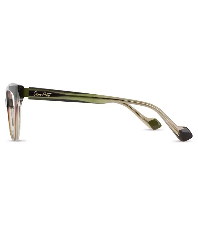 Glasses