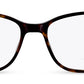 C2Tortoiseshell