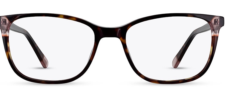 C2Tortoiseshell