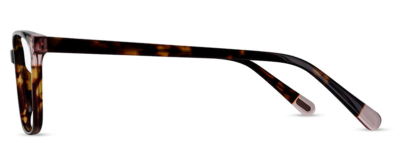 C2Tortoiseshell