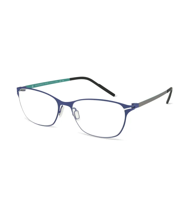 Eyeglasses