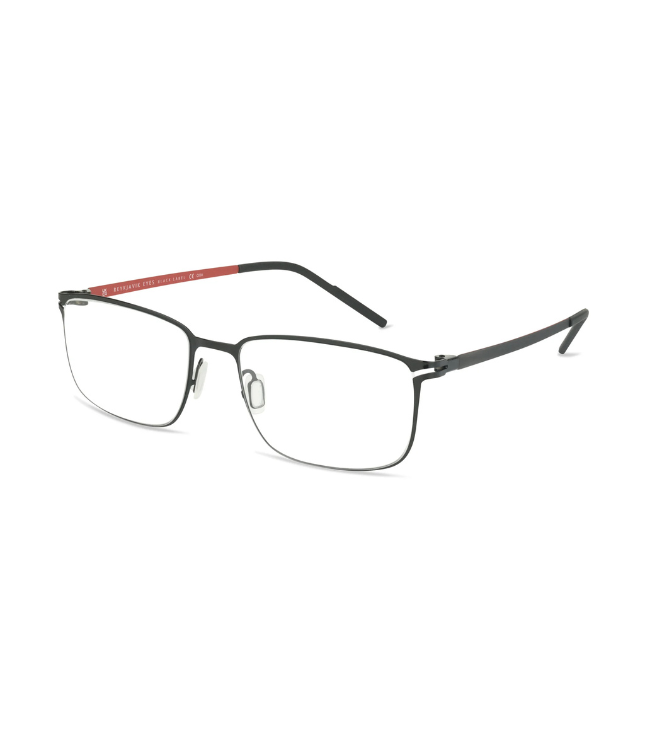 Eyeglasses