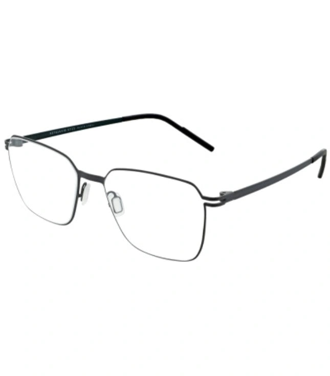 Eyeglasses