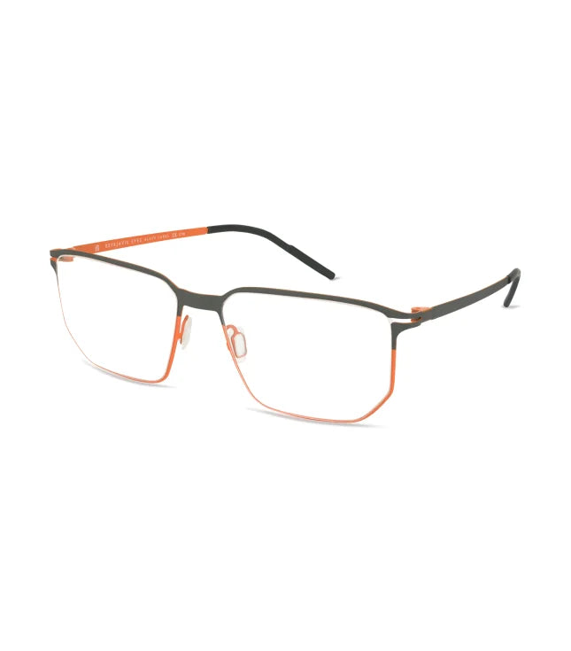 eyeglasses 