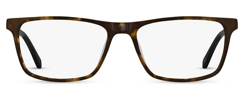 C2MattTortoiseshell