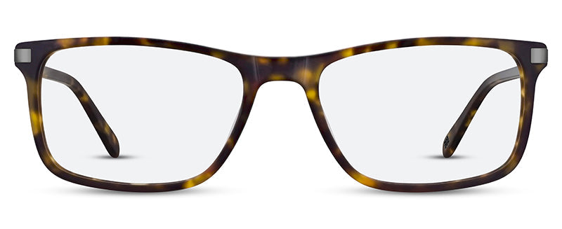 C1Tortoiseshell