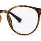 C2Tortoiseshell