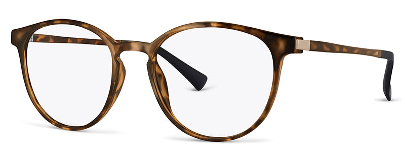 C2Tortoiseshell