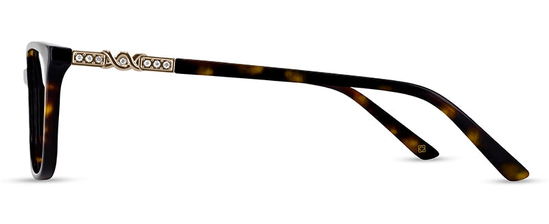 C2Tortoiseshell