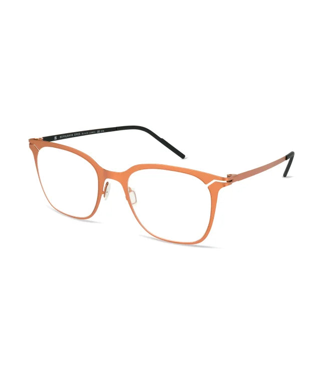 Eyeglasses