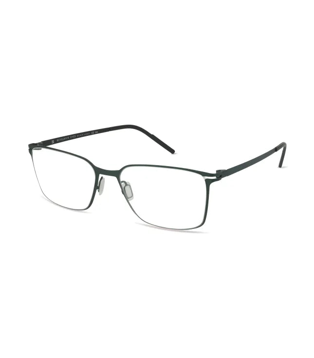 Eyeglasses 