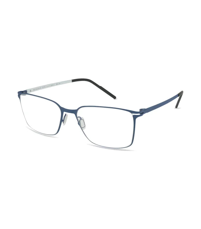 Eyeglasses 