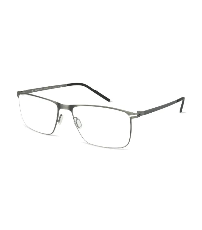 Eyeglasses