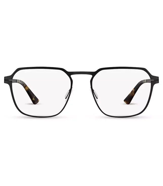 eyeglasses 