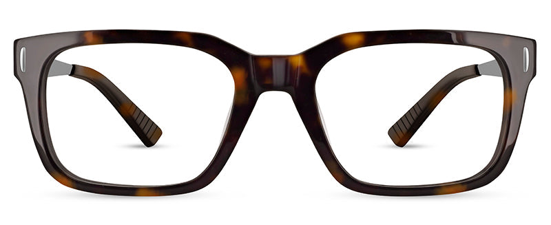 C1Tortoiseshell