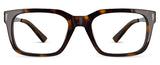 C1Tortoiseshell