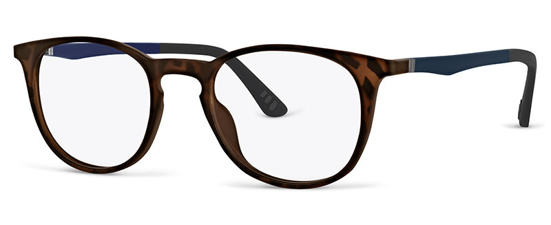 C2Tortoiseshell