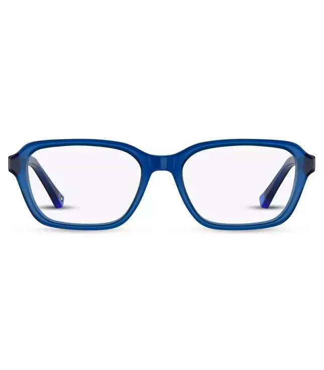 eyeglsses