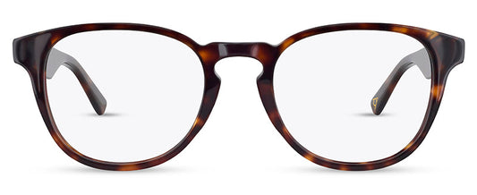 C2TORTOISESHELL