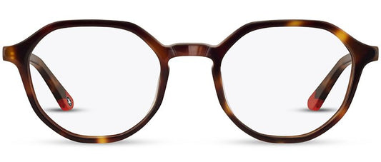 C2TORTOISESHELL