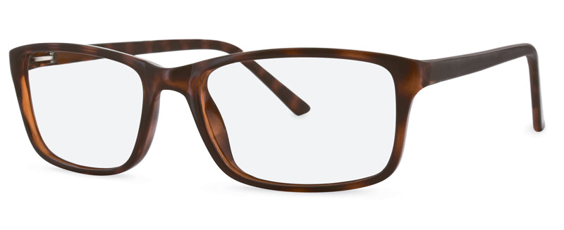 C2Tortoiseshell