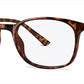 C2Tortoiseshell