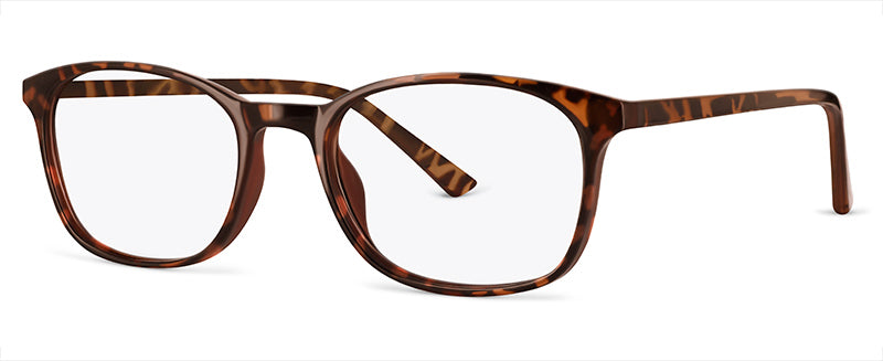 C2Tortoiseshell