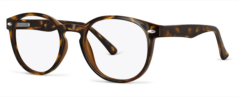 C2Tortoiseshell