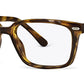 C2Tortoiseshell