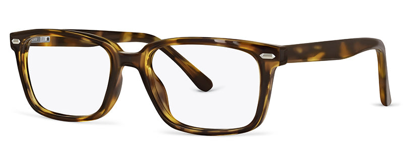 C2Tortoiseshell