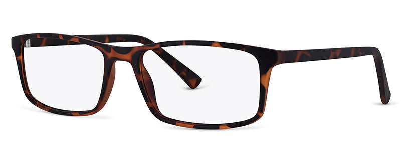 C2Tortoiseshell