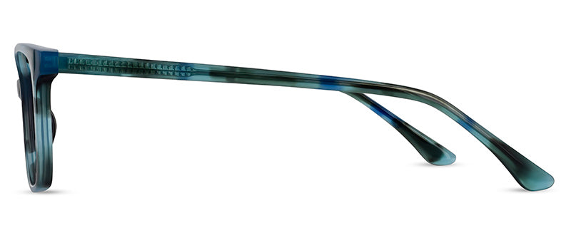 C2BlueTortoiseshell