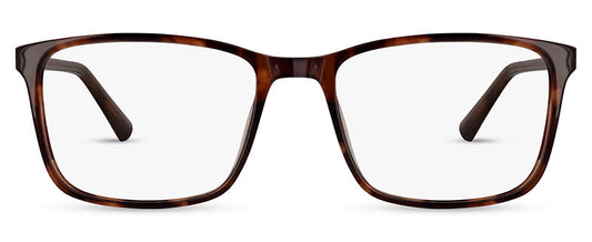 C1Tortoiseshell